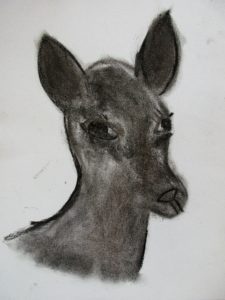 IMG_2450 (2)
