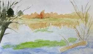 IMG_2718 (2)