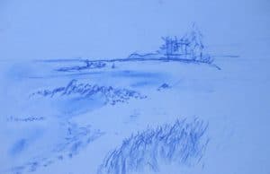 IMG_3676 (2)