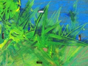 IMG_3970 (2)